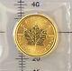 Gold 1/10 Oz Canadian 2015 Gold Maple Leaf $5 Coin. 9999 Fine Coin