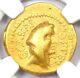 Julius Caesar Gold Av Aureus Gold Coin 46 Bc Certified Ngc Fine 5/5 Strike