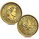 Lot Of 2 2020 1/10 Oz Canadian Gold Maple Leaf $5 Coin. 9999 Fine Bu (sealed)