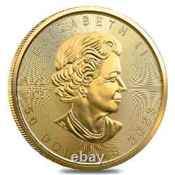 Lot of 2 2023 1 oz Canadian Gold Maple Leaf $50 Coin. 9999 Fine BU