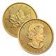 Lot Of 2 Gold 2021 Maple 1 Oz Canadian Gold Maple Leaf $50.9999 Fine Coins