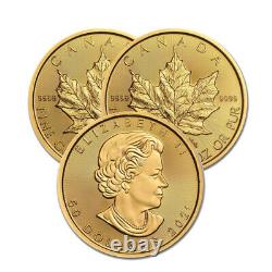 Lot of 3 Gold 2021 Maple 1 oz Canadian Gold Maple Leaf $50.9999 Fine coins