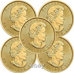 Lot of 5 2022 1 oz Canadian Gold Maple Leaf $50 Coin 9999 Fine Gold BU