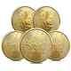 Lot Of 5 2023 1 Oz Canadian Gold Maple Leaf $50 Coin. 9999 Fine Bu