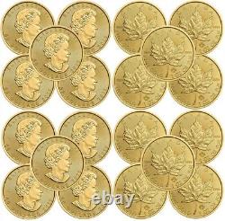 Roll of 10 2022 1 oz Canadian Gold Maple Leaf $50 Coin 9999 Fine Gold BU