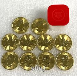 Roll of 10 Gold 2023 Maple 1 oz Canadian Gold Maple Leaf $50.9999 Fine coins